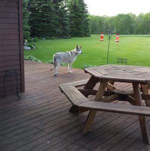 Meet your Posher, Lynn